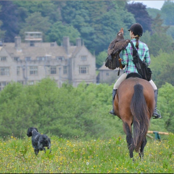 Meet your Posher, Amanda - Picture 2 of 2